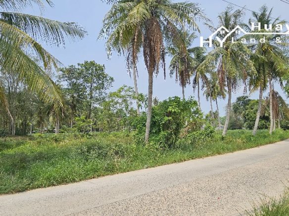 #1488b  5+rai Land For Sale Huay Yai Chien.
