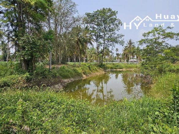 #1488b  5+rai Land For Sale Huay Yai Chien.