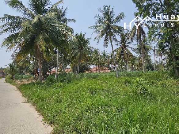 #1488b  5+rai Land For Sale Huay Yai Chien.