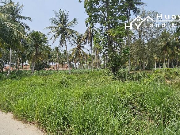 #1488b  5+rai Land For Sale Huay Yai Chien.