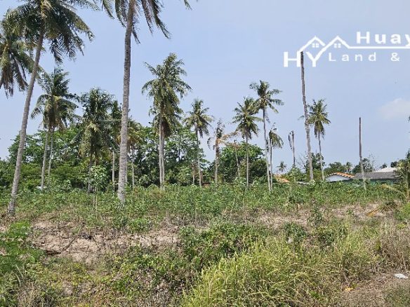 #1304  Land For Sale 8+ rai. Huay Yai Jean.