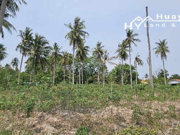 #1304  Land For Sale 8+ rai. Huay Yai Jean.