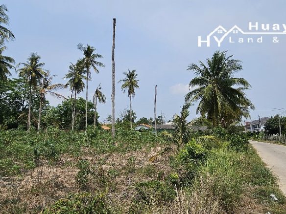 #1304  Land For Sale 8+ rai. Huay Yai Jean.