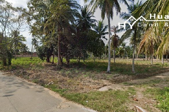 #1488b  5+rai Land For Sale Huay Yai Chien.