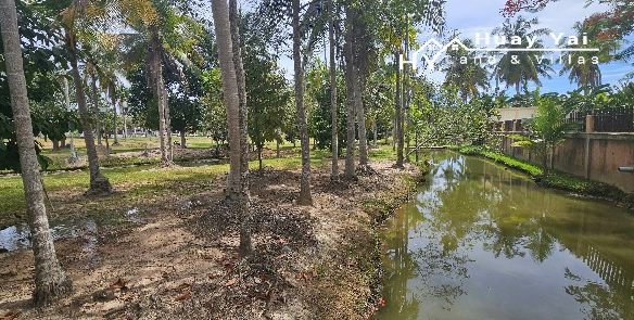 #1509 Land For Sale. Stunning Parkland like plot of land in Huay Yai Chien in a Superior Location. Recommended