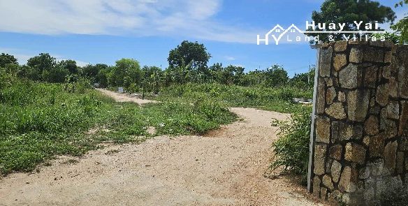 #1279  10+ Rai just off the village centre. Land For Sale