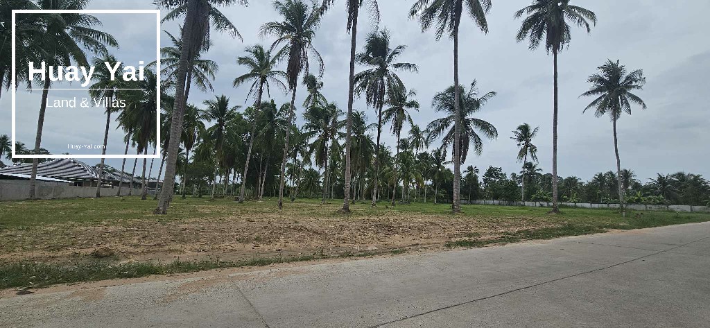 #1520  Road fronting dream villa plot in good neighbourhood. Can possibly cut size to suit