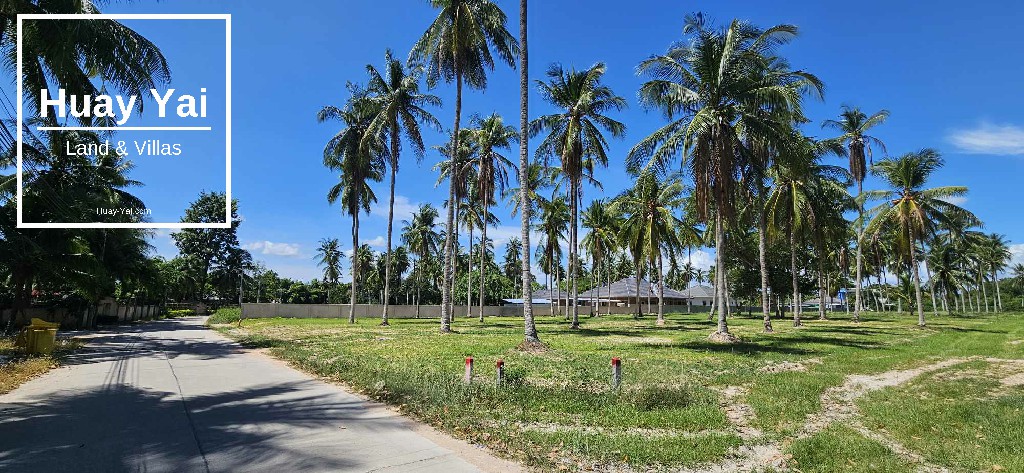 #1520  Road fronting dream villa plot in good neighbourhood. Can possibly cut size to suit
