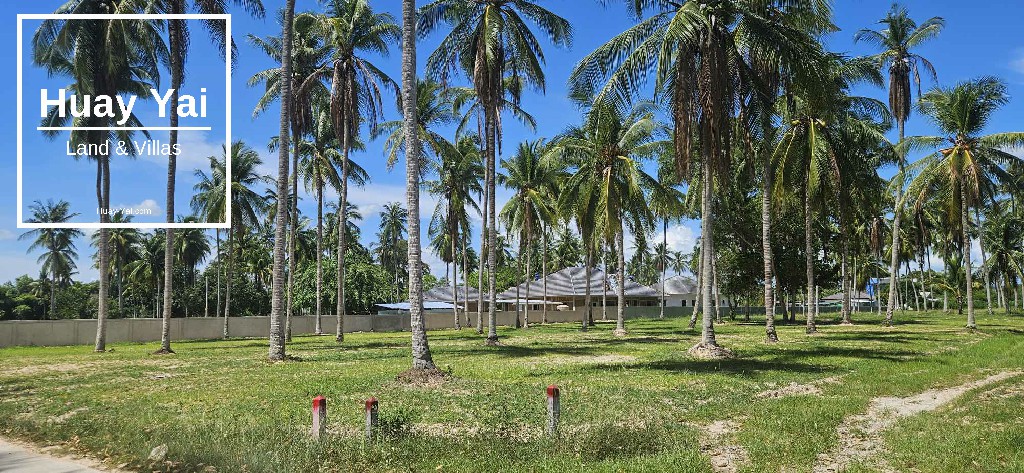 #1520  Road fronting dream villa plot in good neighbourhood. Can possibly cut size to suit