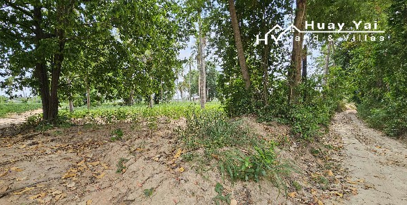 #1426   Development site adjoining Route 7 Toll Road, Huay Yai. A shrewd investment.