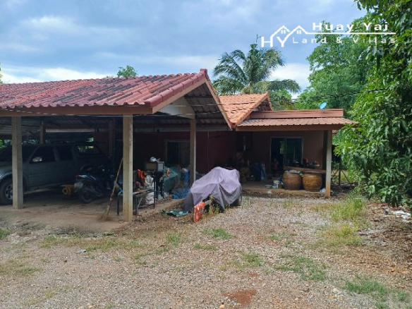 #1533   98rai Mango Farm in Phetchuboon