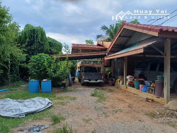 #1533   98rai Mango Farm in Phetchuboon