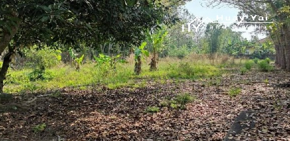 #1532   1.5rai dream villa plot For Sale in Huay Yai