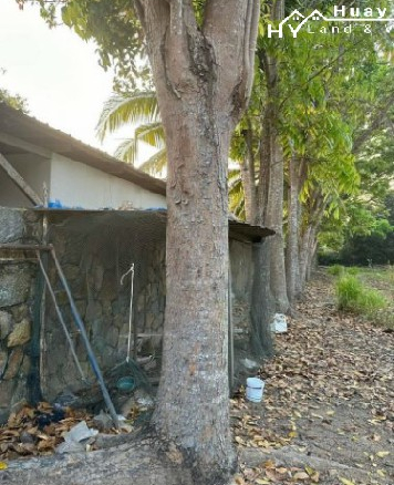 #1532   1.5rai dream villa plot For Sale in Huay Yai