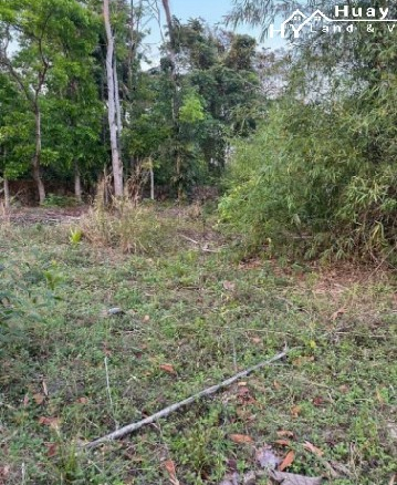 #1532   1.5rai dream villa plot For Sale in Huay Yai