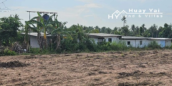 #1549   Excellent value 5+ rai Land For Sale on edge of development area.  Rapidly rising