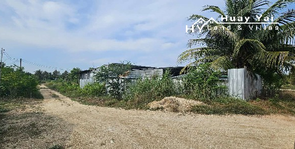 #1549   Excellent value 5+ rai Land For Sale on edge of development area.  Rapidly rising