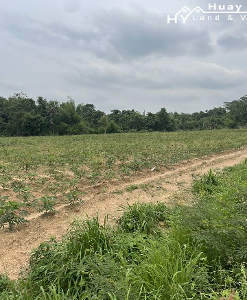 #1550   1550 Main Road Frontage. Outside of Huay Yai Village