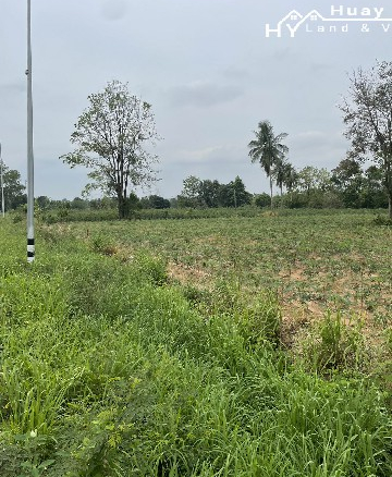 #1550   1550 Main Road Frontage. Outside of Huay Yai Village