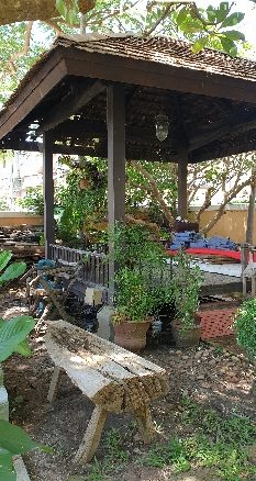 #3137   An oasis in the city. Character house in quiet walled garden