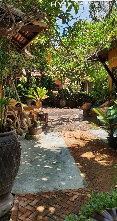 #3137   An oasis in the city. Character house in quiet walled garden