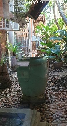 #3137   An oasis in the city. Character house in quiet walled garden