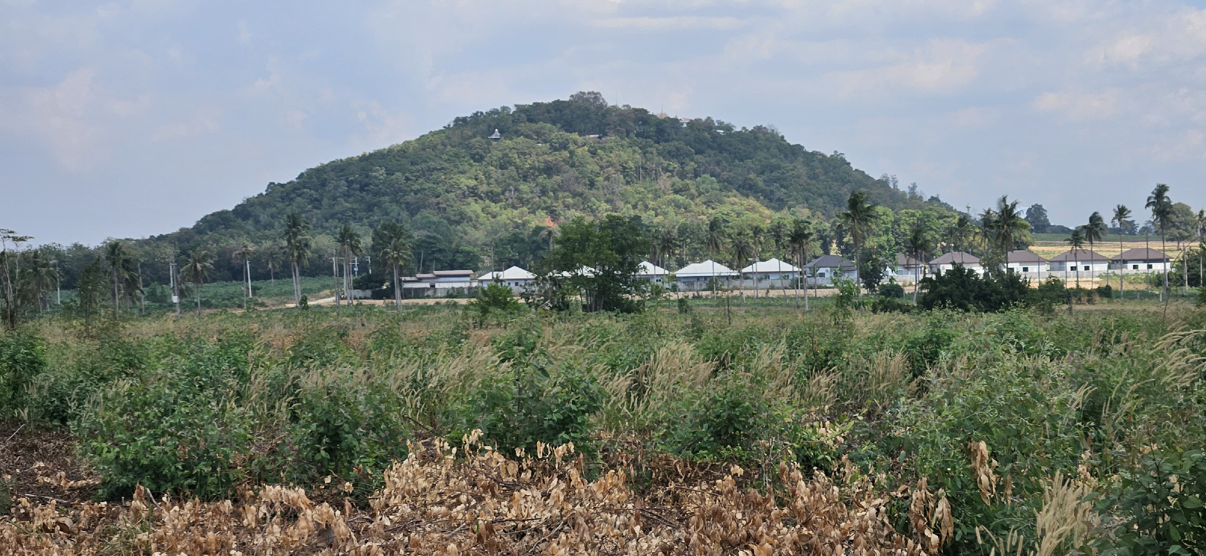 #1534    Adjoining Large Plots near Chak Nok Lake