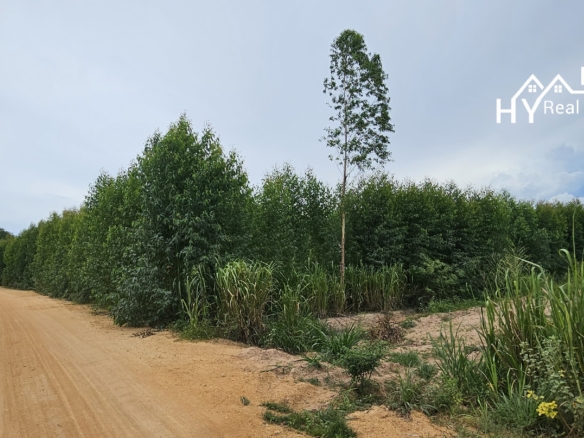#1534    Adjoining Large Plots near Chak Nok Lake