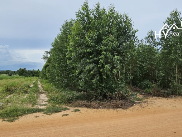 #1534    Adjoining Large Plots near Chak Nok Lake
