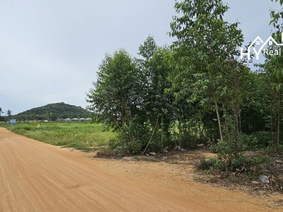 #1534    Adjoining Large Plots near Chak Nok Lake