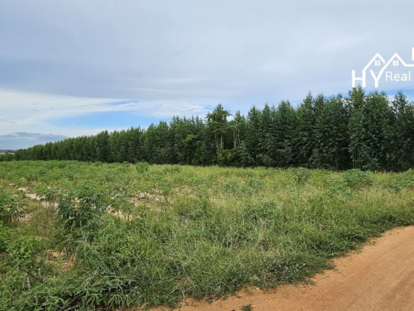 #1534    Adjoining Large Plots near Chak Nok Lake
