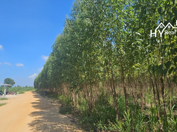 #1534    Adjoining Large Plots near Chak Nok Lake