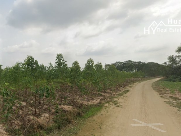 #1534    Adjoining Large Plots near Chak Nok Lake