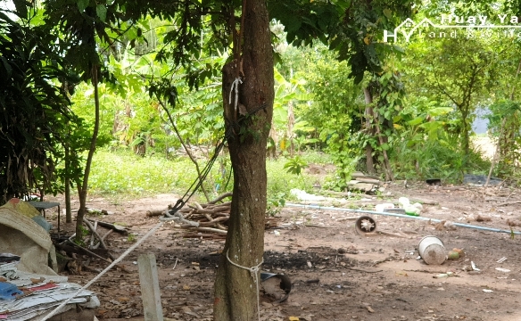 #1286   2stand alone land plots backing onto a government klong.  Close to Highgate School