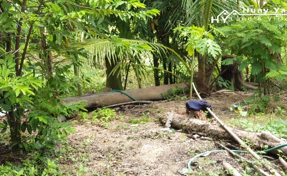 #1286   2stand alone land plots backing onto a government klong.  Close to Highgate School