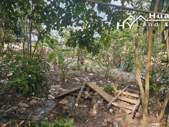 #1286   2stand alone land plots backing onto a government klong.  Close to Highgate School