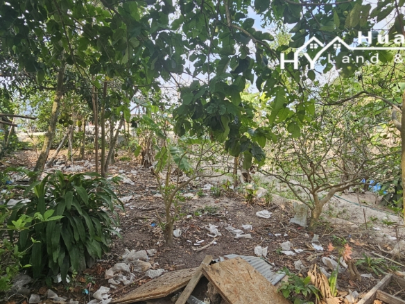 #1286   2stand alone land plots backing onto a government klong.  Close to Highgate School