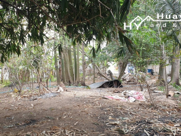 #1286   2stand alone land plots backing onto a government klong.  Close to Highgate School