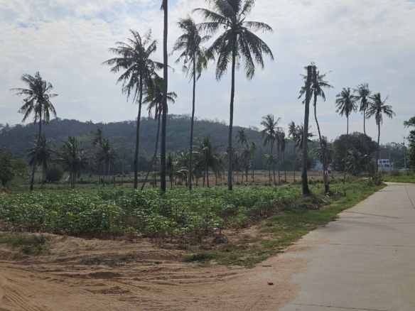 #1125-2       Hillside road fronting 6x 2rai plots. Some good views