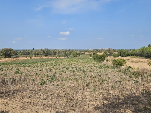 #1125-7   Well priced hillside 7rai plot. Good views to Pattaya.