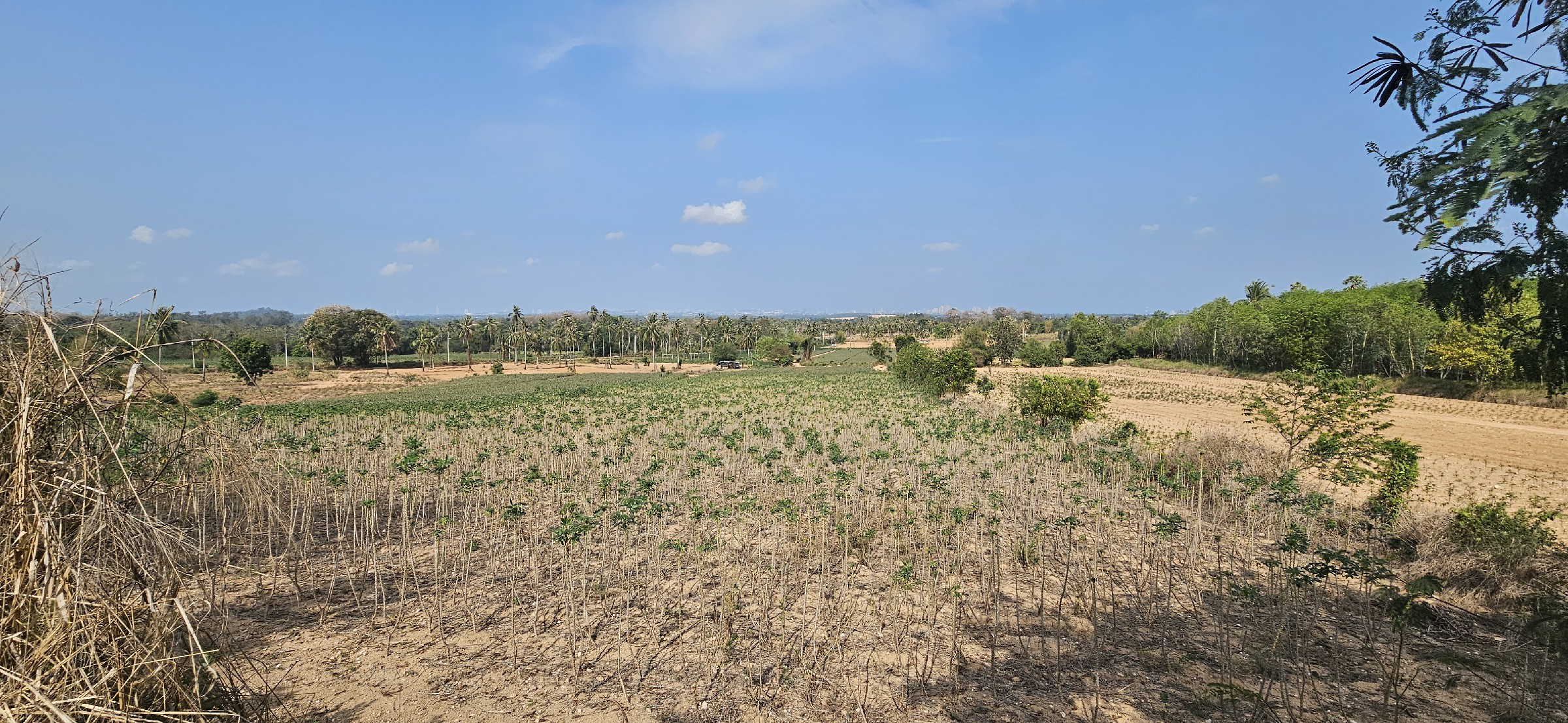 #1125-7   Well priced hillside 7rai plot. Good views to Pattaya.