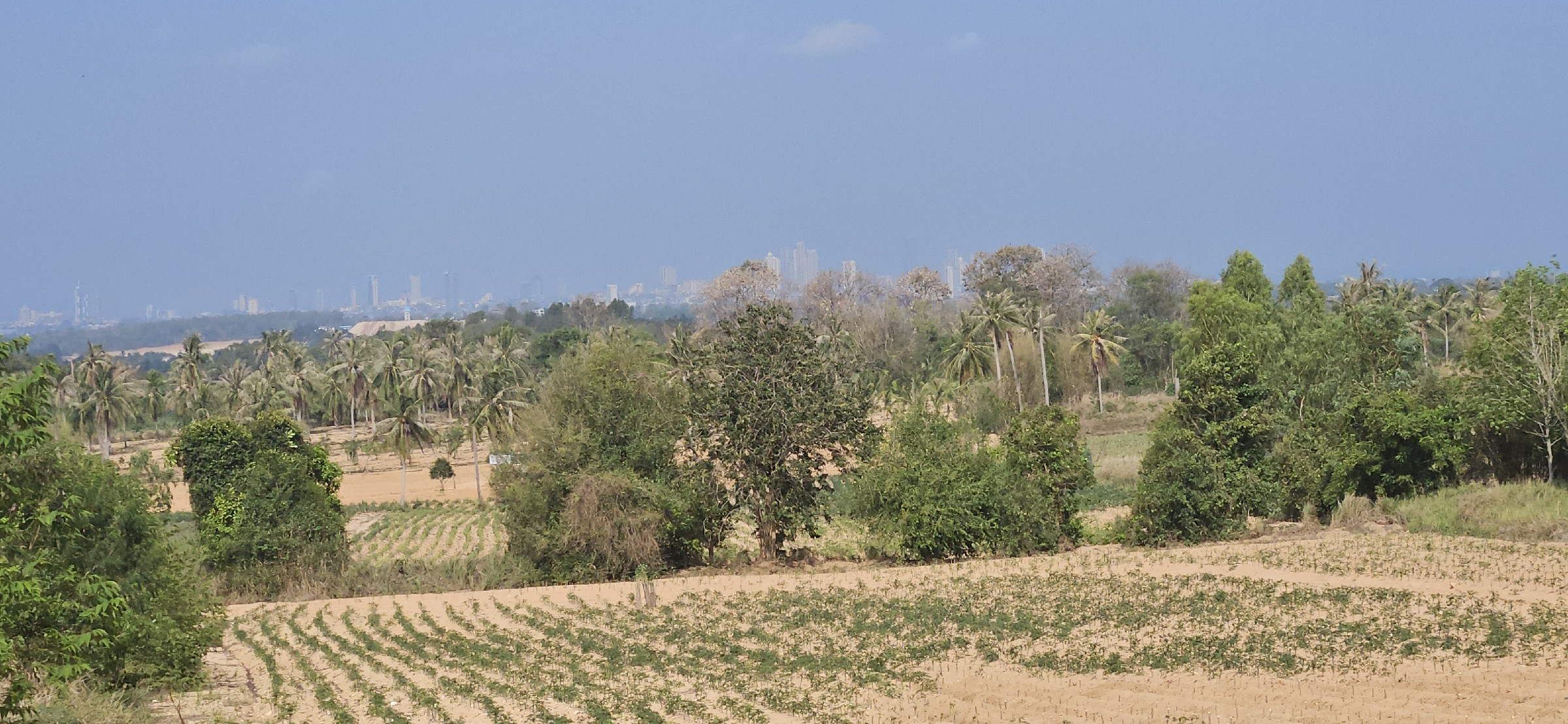 #1125-7   Well priced hillside 7rai plot. Good views to Pattaya.