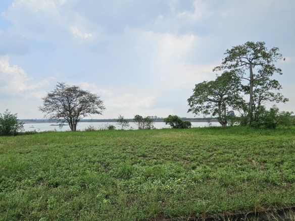 #1585  Absolute Lakeside Building Plot