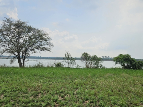 #1585  Absolute Lakeside Building Plot