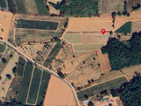 #1125-7   Well priced hillside 7rai plot. Good views to Pattaya.