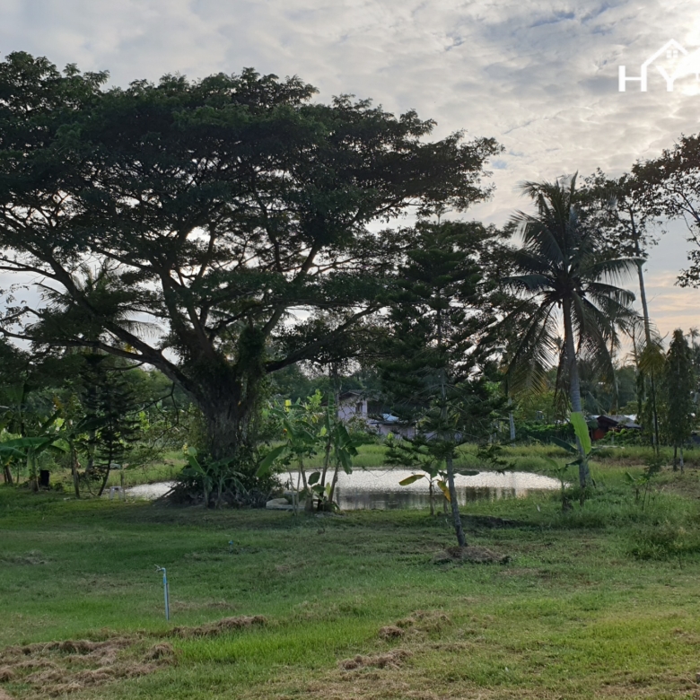 #3215 Land with house. SUPERB VALUE!! Thai House & 3.5+ rai