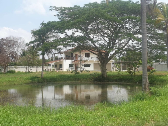 #3215 Land with house. SUPERB VALUE!! Thai House & 3.5+ rai