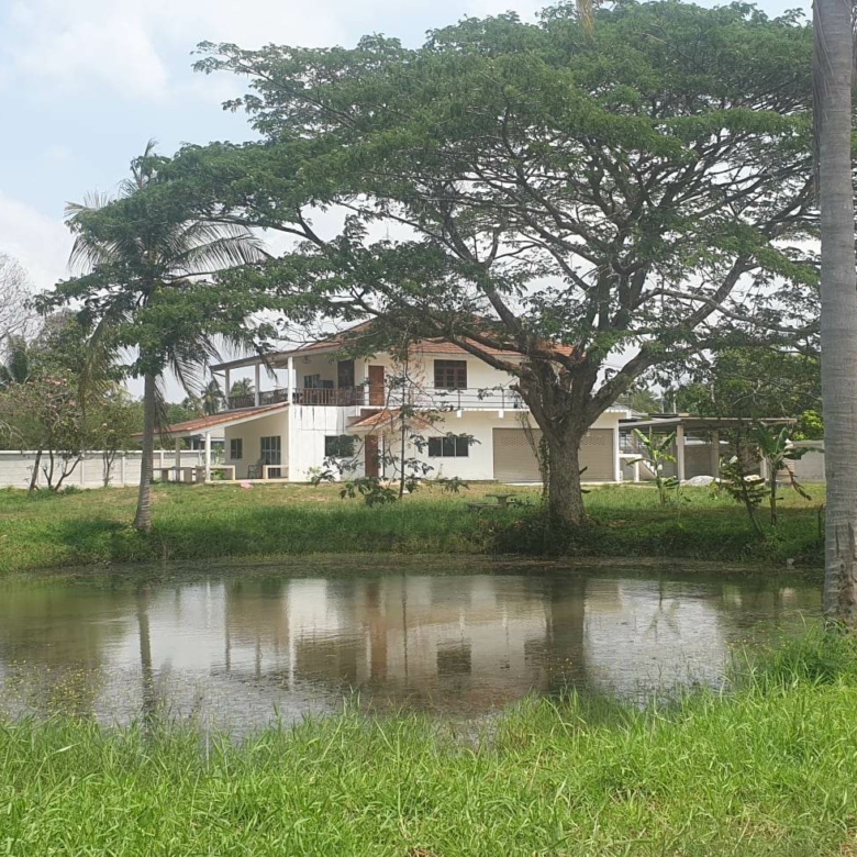 #3215 Land with house. SUPERB VALUE!! Thai House & 3.5+ rai