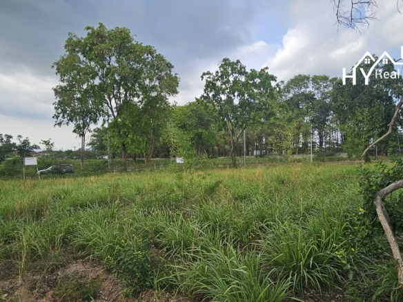 #B90 & B91  2x Premium Building plots beside the fairway