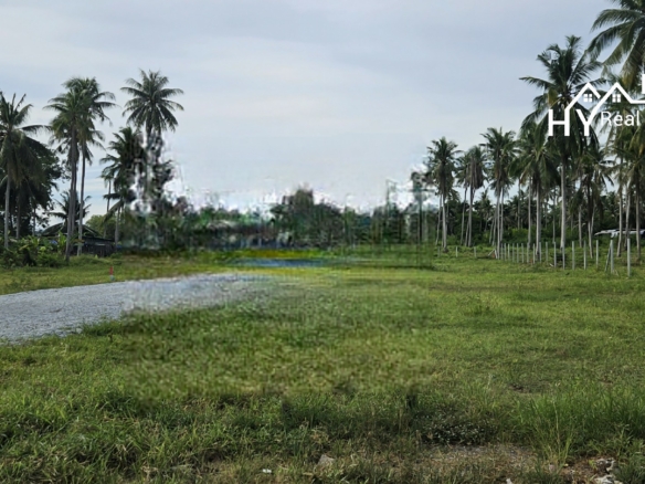 #1616     Huay Yai: Individual building plots in semi rural, quiet residential area